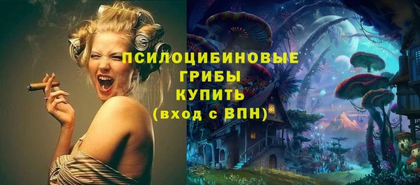 ПСИЛОЦИБИНОВЫЕ ГРИБЫ Абдулино