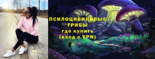 ПСИЛОЦИБИНОВЫЕ ГРИБЫ Абдулино
