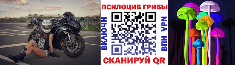 Псилоцибиновые грибы Cubensis  MEGA вход  Североморск 