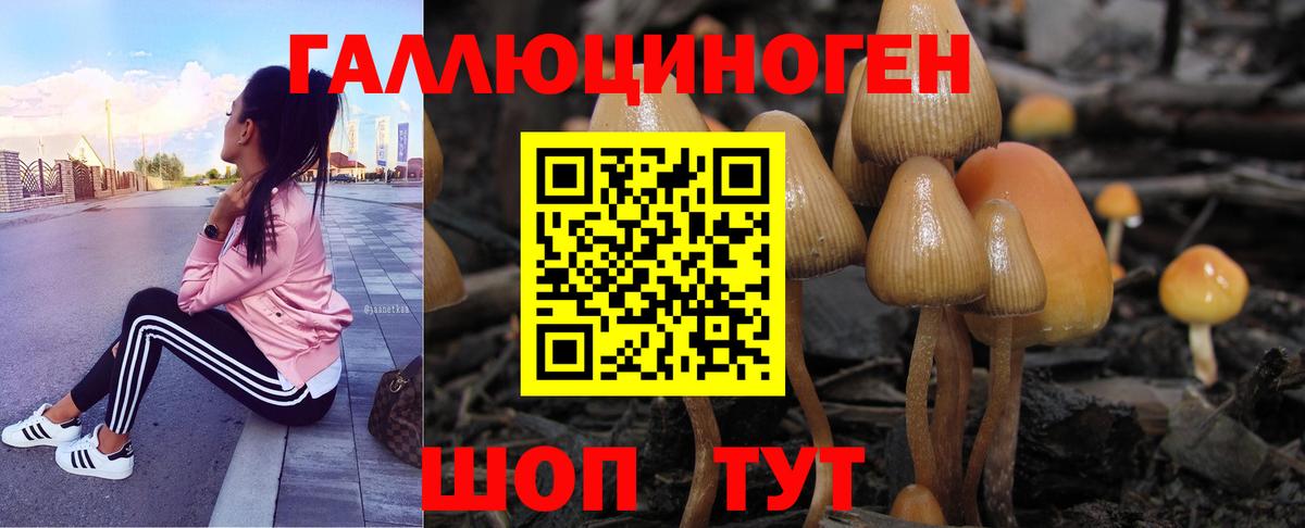 Галлюциногенные грибы мицелий Североморск