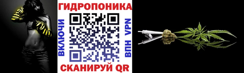 Марихуана конопля гидра ссылка Североморск
